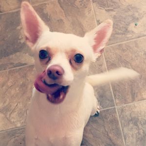 Meet your Posher, Ana